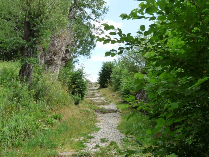 Le chemin pour Saint barthélémie - La Salle les Alpes