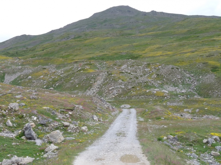 Le Sachet  , 2165 m - La Salle les Alpes