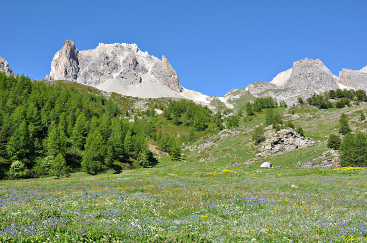 Chandelle du lac Rouge - Vallée de la Clarée - Névache