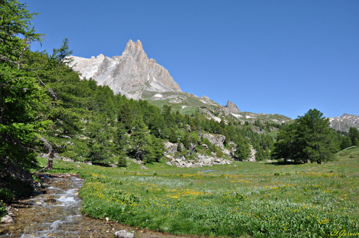 Main de Crépin - Vallée de la Clarée - Névache