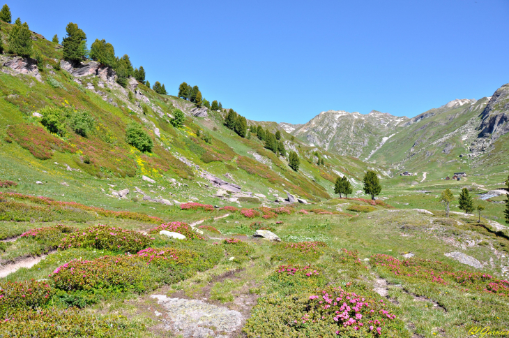 Vallée de la Clarée - Névache