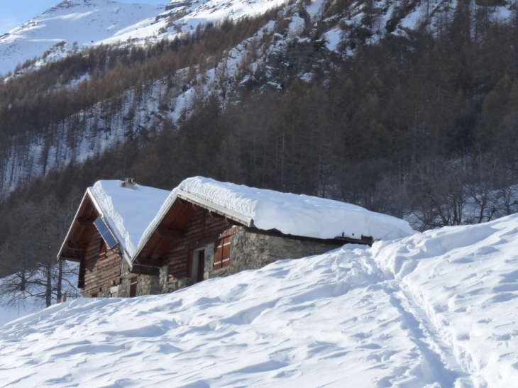 Les chalets de Narreyroux - Puy-Saint-Vincent