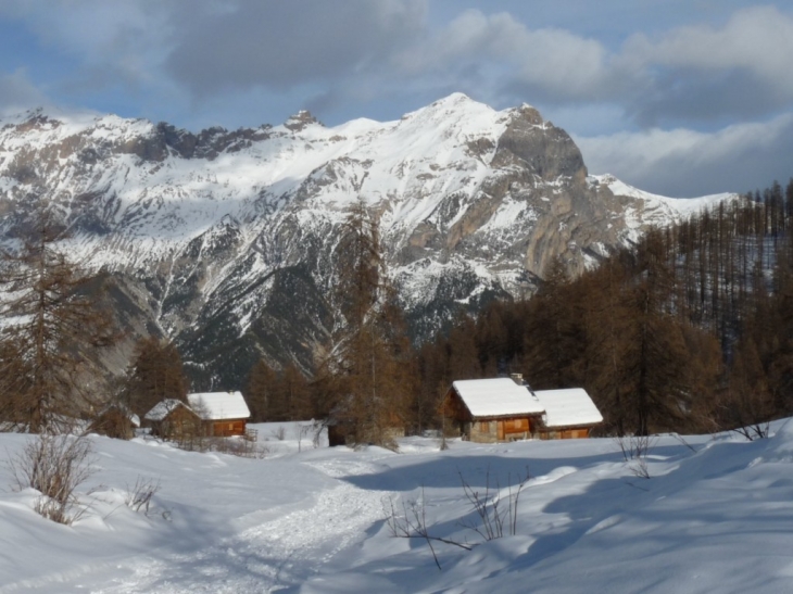 Les chalets de Narreyroux - Puy-Saint-Vincent