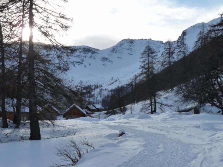 Les chalets de Narreyroux - Puy-Saint-Vincent