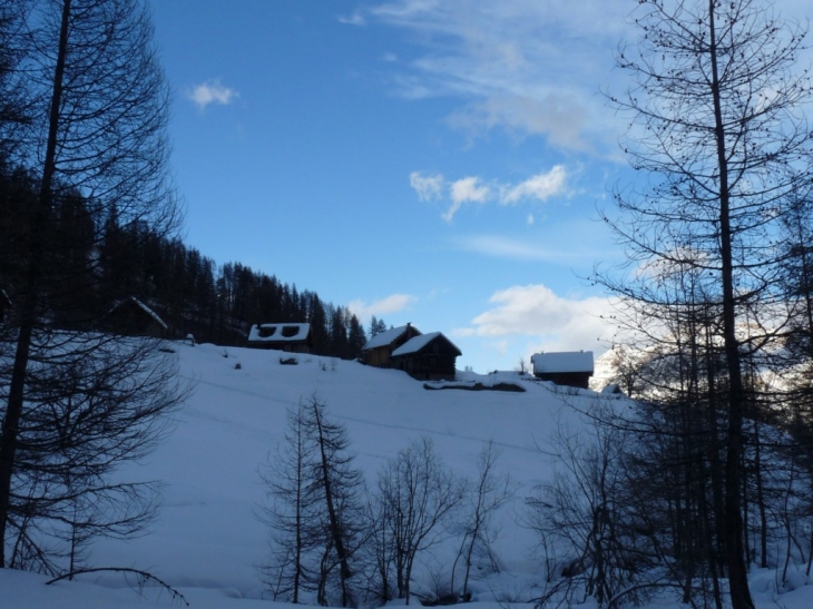 Les chalets de Narreyroux - Puy-Saint-Vincent