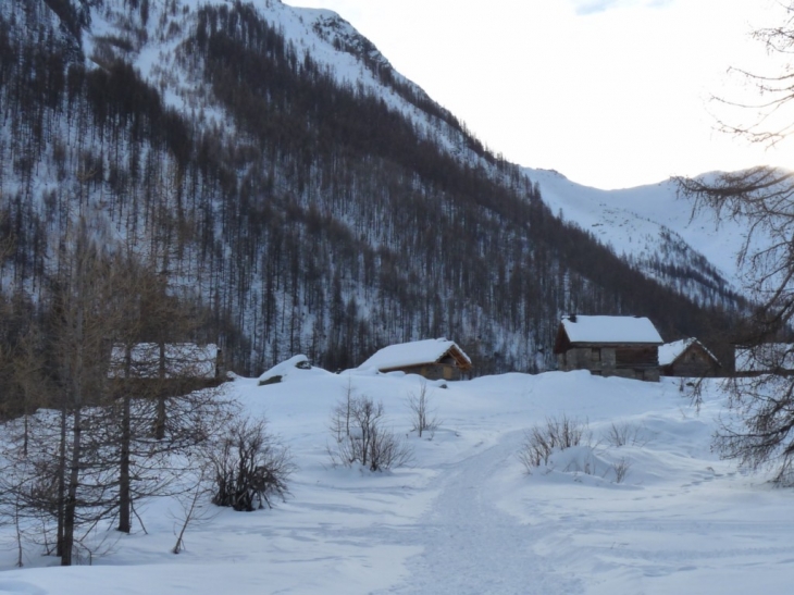 Les chalets de Narreyroux - Puy-Saint-Vincent