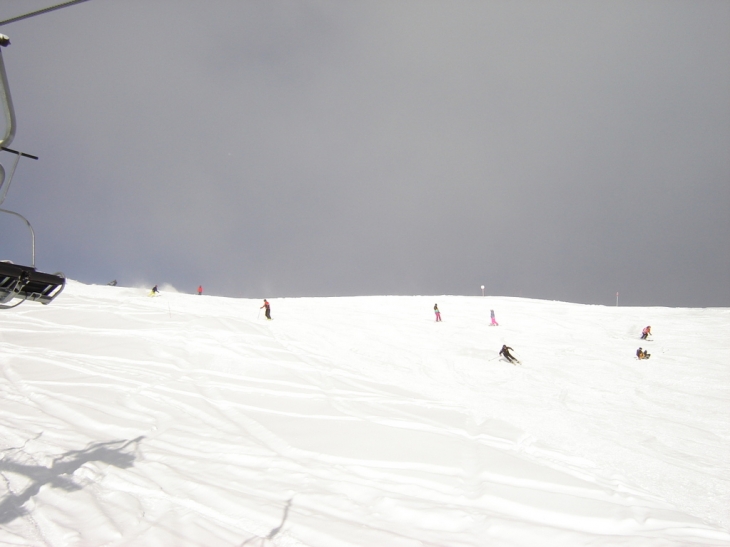 Sur la piste des Coqs - Puy-Saint-Vincent