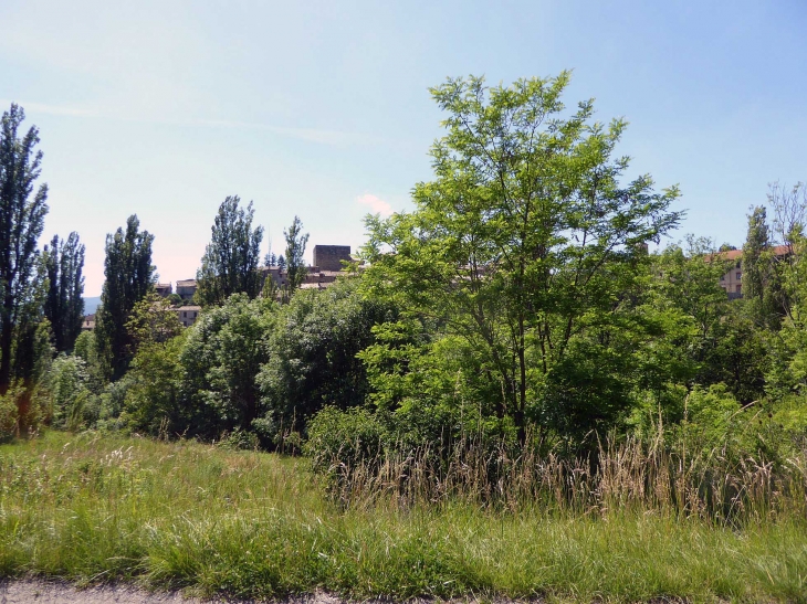 Le village derrière les arbres - Rosans