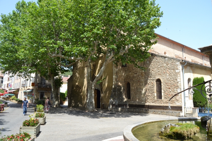   Collégiale Saint-Pancrace 15 Em Siècle - Aups