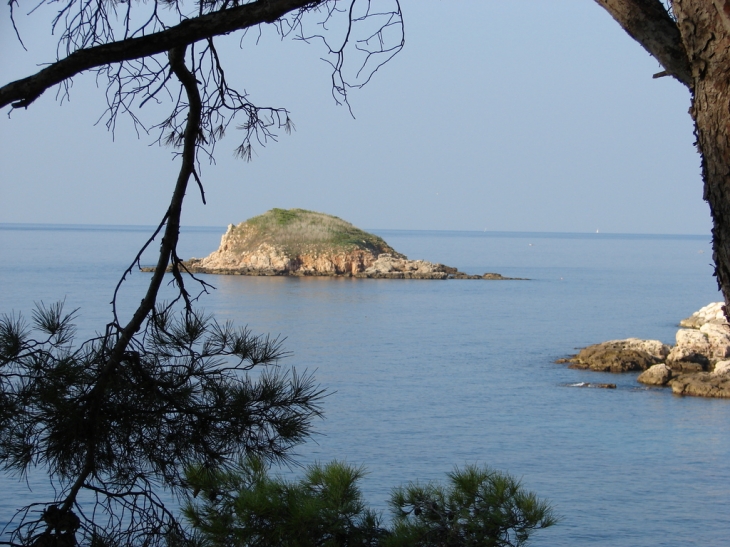 Sur le Sentier du Littoral, l'Ile Rousse - Bandol