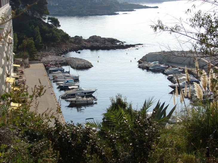 Sur le Sentier du Littoral, le petit Port de la Résidence Athéna - Bandol