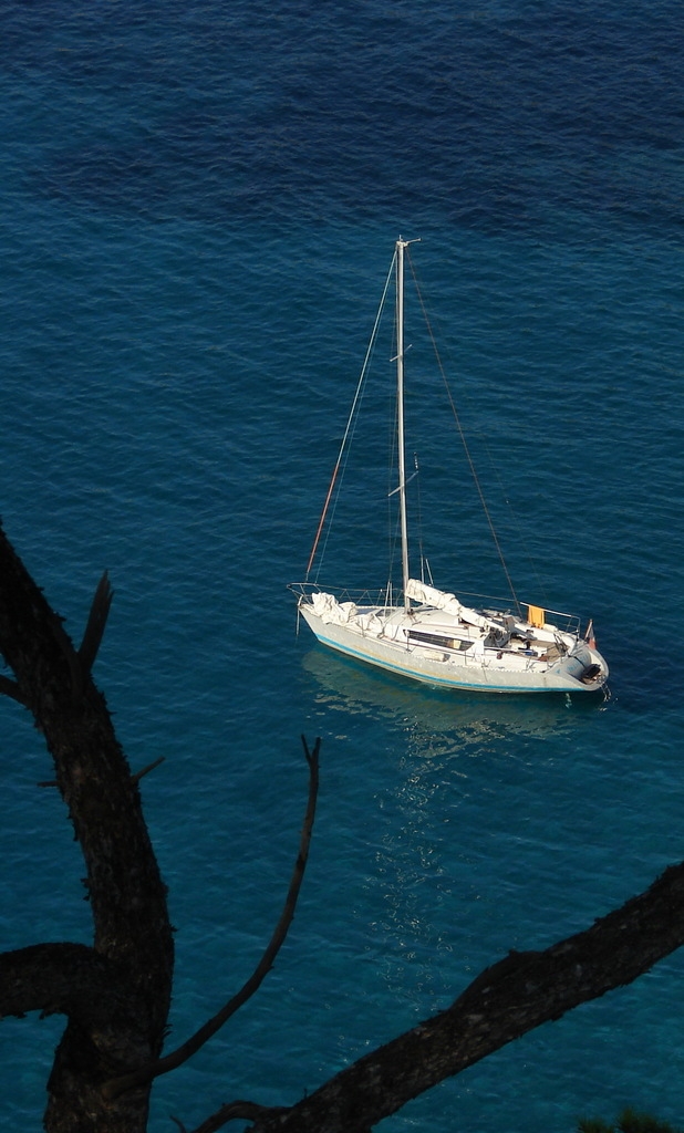 Sur le Sentier du Littoral - Bandol