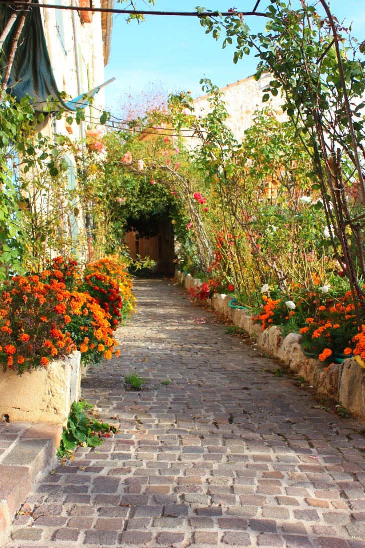 Ruelle de Bauduen