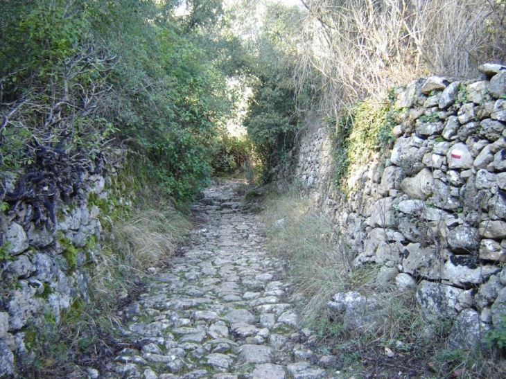 En montant à la barre - Belgentier