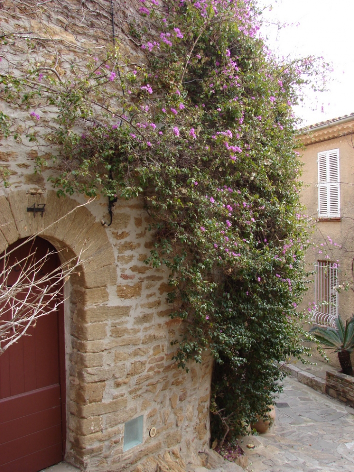 Une rue de Bormes - Bormes-les-Mimosas