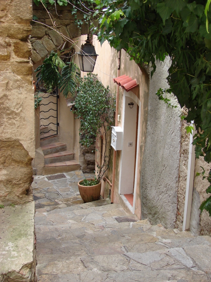 Une rue de Bormes - Bormes-les-Mimosas