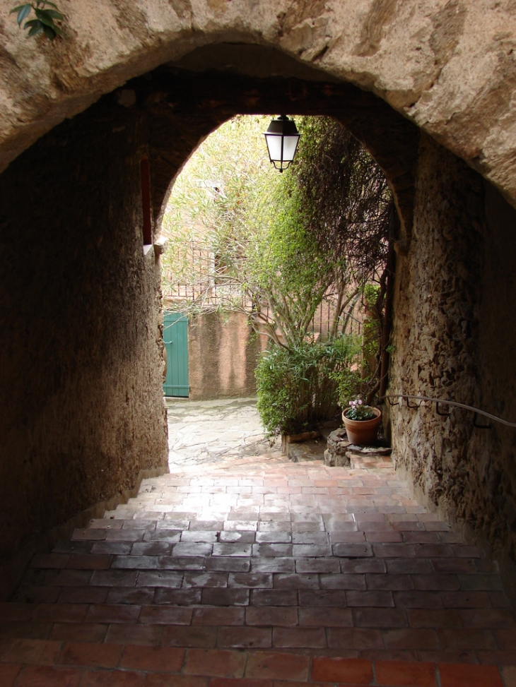 Dans les rues de Bormes - Bormes-les-Mimosas