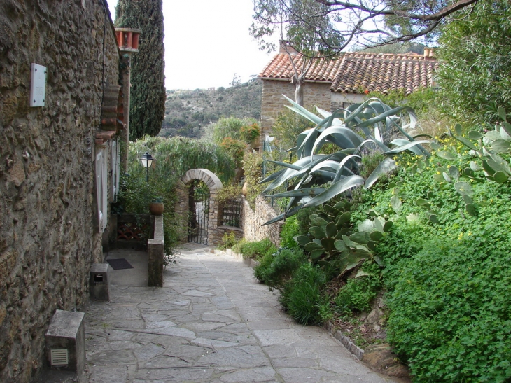 Dans les rues de Bormes - Bormes-les-Mimosas