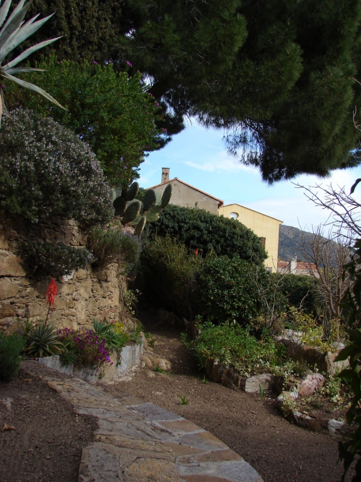 Dans les rues de Bormes - Bormes-les-Mimosas