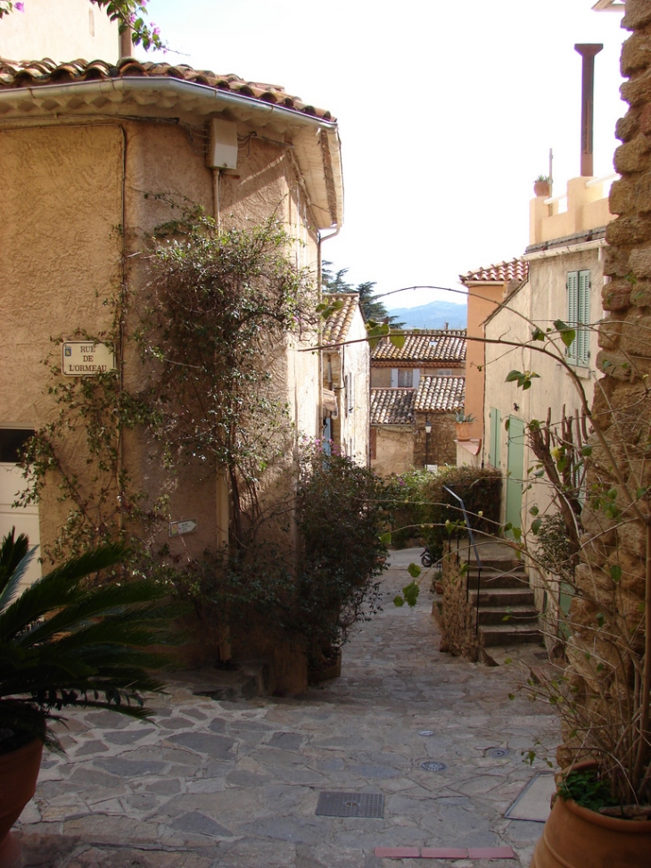 Rue de l'Ormeau - Bormes-les-Mimosas