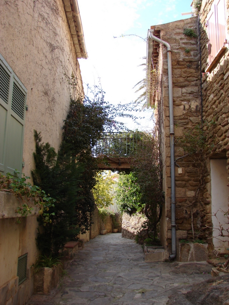 Dans les rues de Bormes - Bormes-les-Mimosas