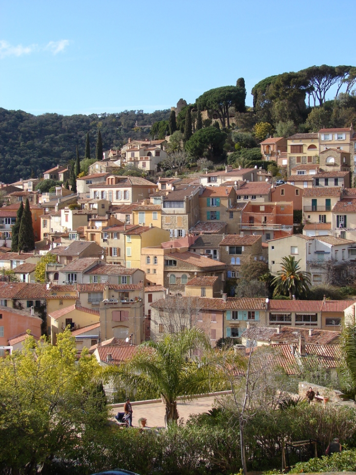 Vue de Bormes - Bormes-les-Mimosas