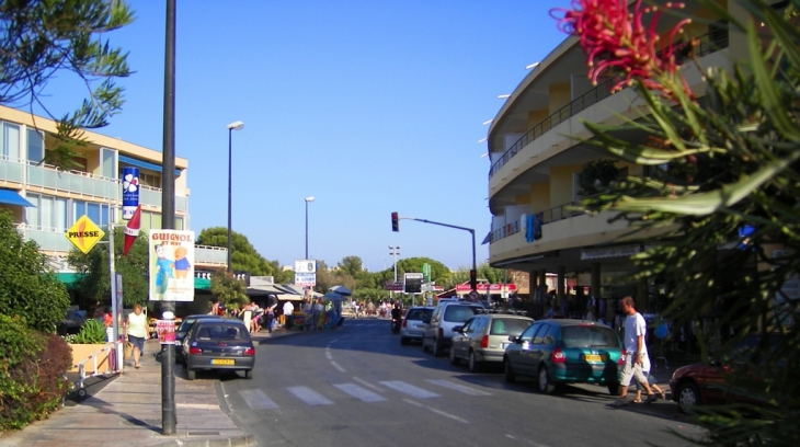 La faviere - Bormes-les-Mimosas