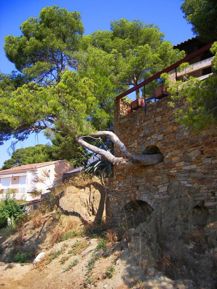 Le port de LA FAVIERE - Bormes-les-Mimosas