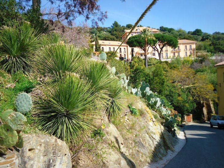 Bormes les mimosas village - Bormes-les-Mimosas