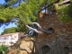 Photo précédente de Bormes-les-Mimosas Le port de LA FAVIERE