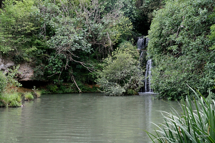 Cascade du tombereau - Bras