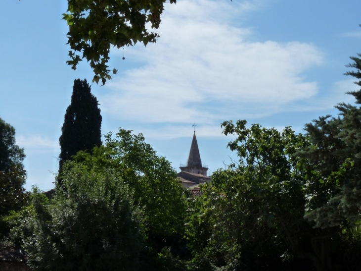 Vue du Carami - Brignoles