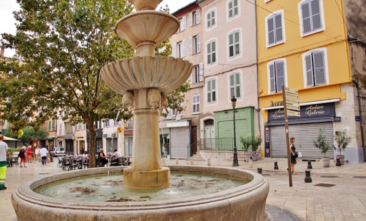 Fontaine - Brignoles