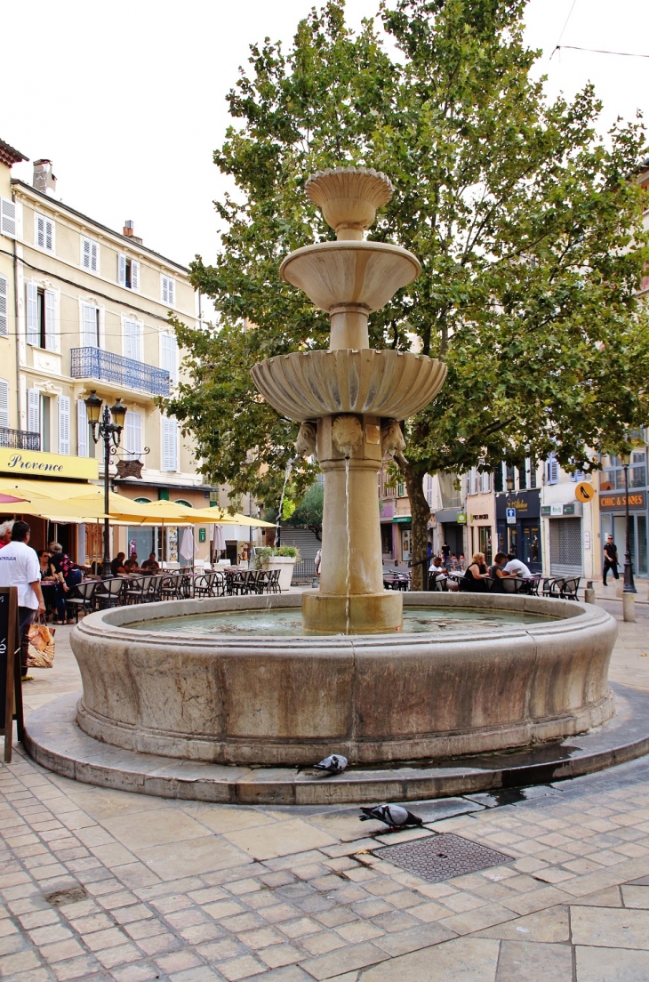 Fontaine - Brignoles