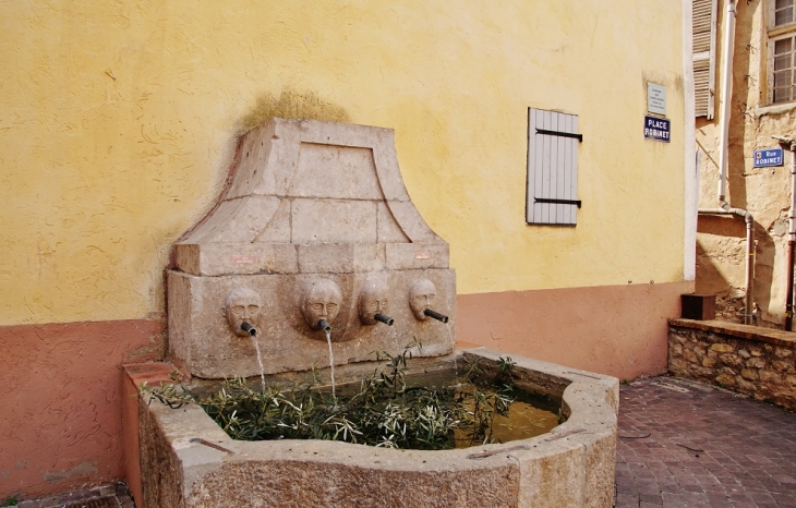 Fontaine - Brignoles