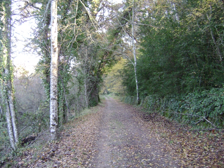 Chemin de campagne - Brue-Auriac