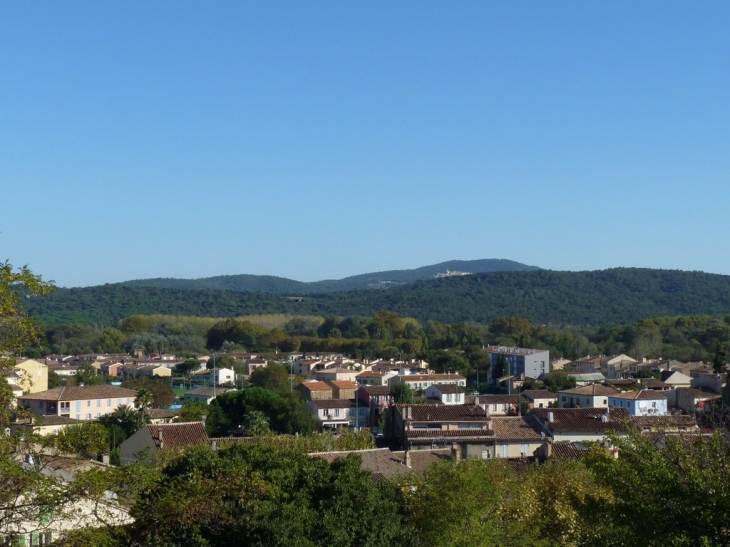 Vue de la place Bellevue - Cogolin