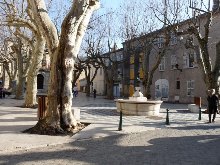 La place de la mairie - Collobrières