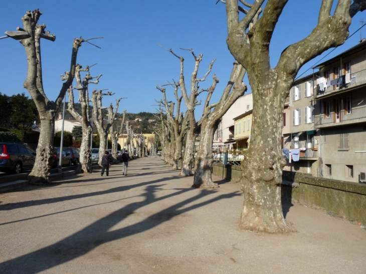 Dans le village - Collobrières