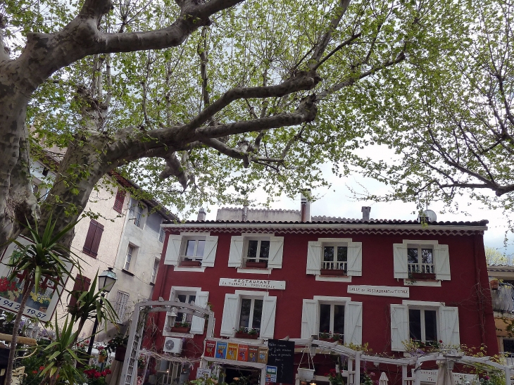 La place de la République - Collobrières