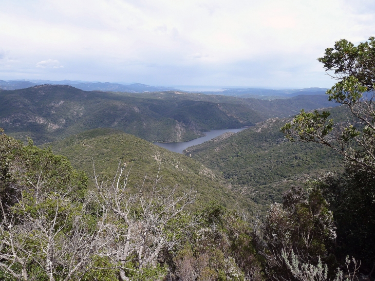 Le massif des Maures - Collobrières