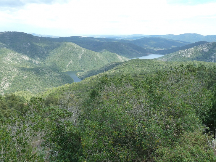 Vue sur la retenue de la Verne - Collobrières