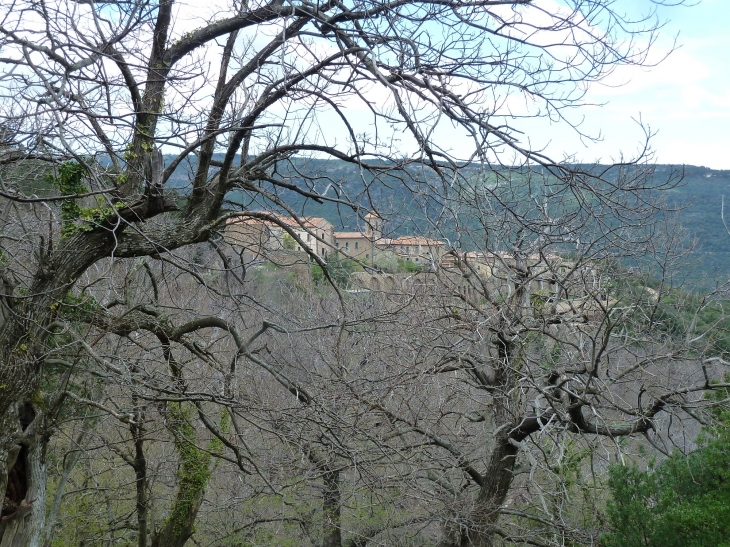 La chartreuse de la Verne - Collobrières