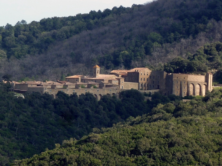 La chartreuse de la Verne - Collobrières