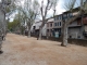 allée de platanes le long du Real Collobrier