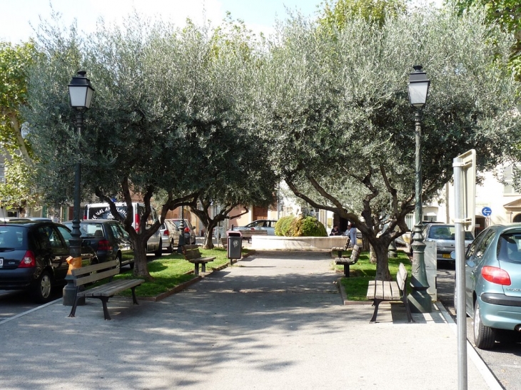 Place général De Gaulle - Cuers