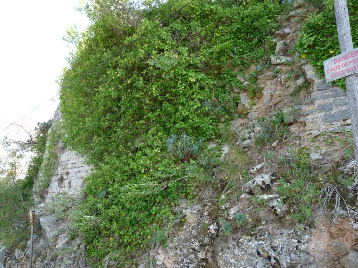 Remparts du chateau féodal(ruines) - Cuers