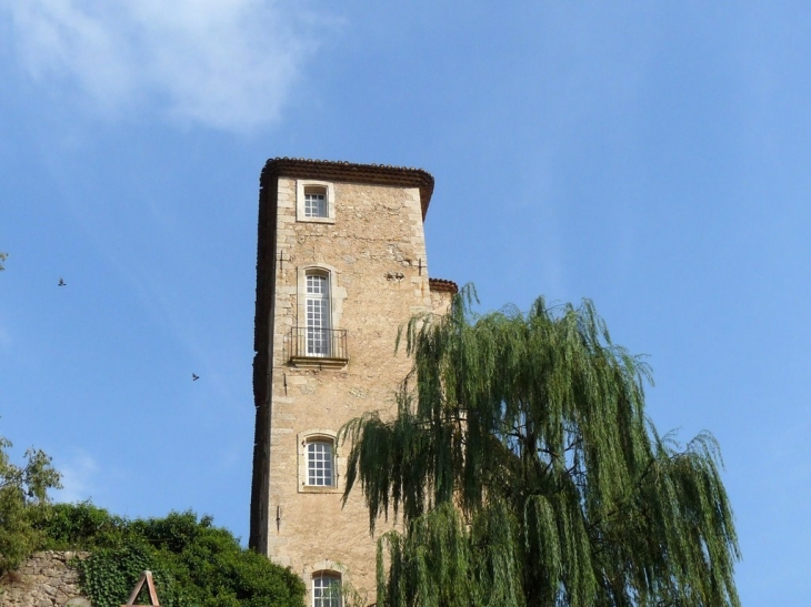 Le chateau - Entrecasteaux