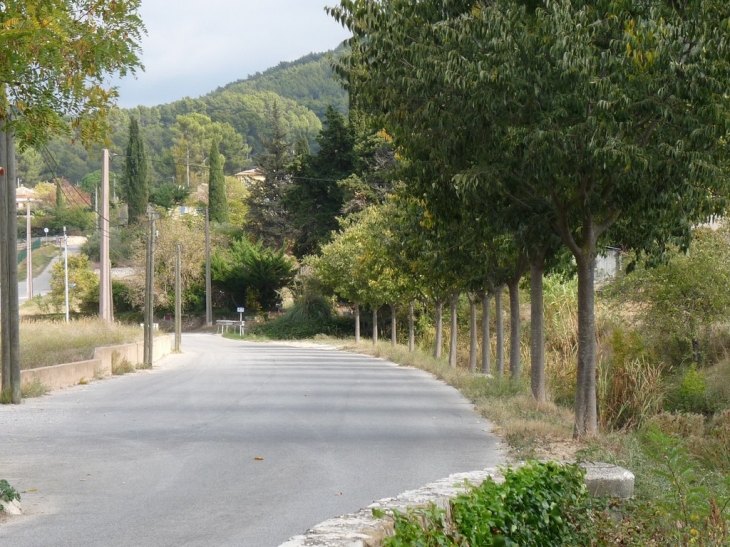 Chemin Dupuy de Lome - Évenos