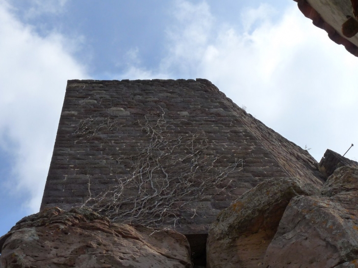 Ruines du chateau - Évenos